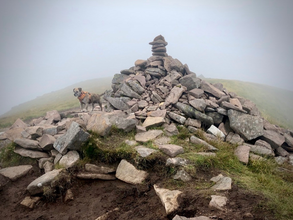 Suilven’s highest point, Caisteal Liath, a Graham at 731m