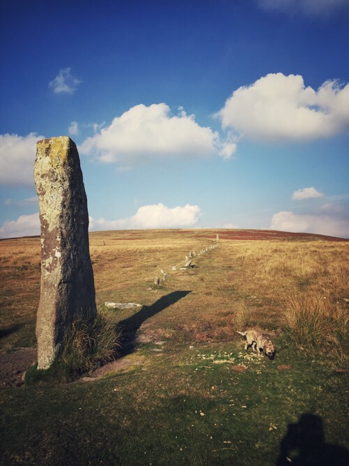 Drizzlecombe Stone Rows