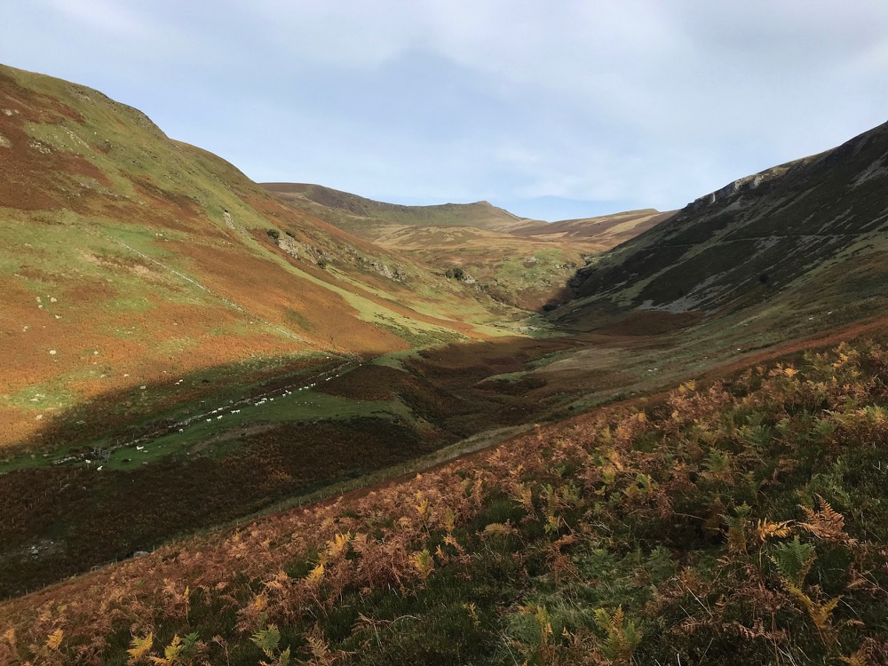 Berwyn Mountains
