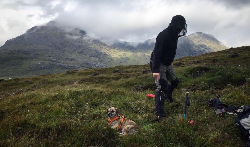 Thermos King Food Flask: A Brilliant Flask for Hiking - Eat Sleep Wild