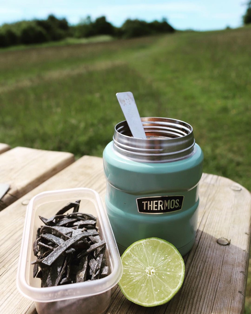 Tortilla Soup in the Thermos Stainless Food Flask