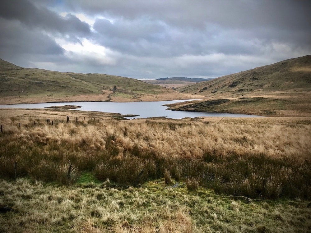 Cambrian Mountains, The Green Desert of Wales