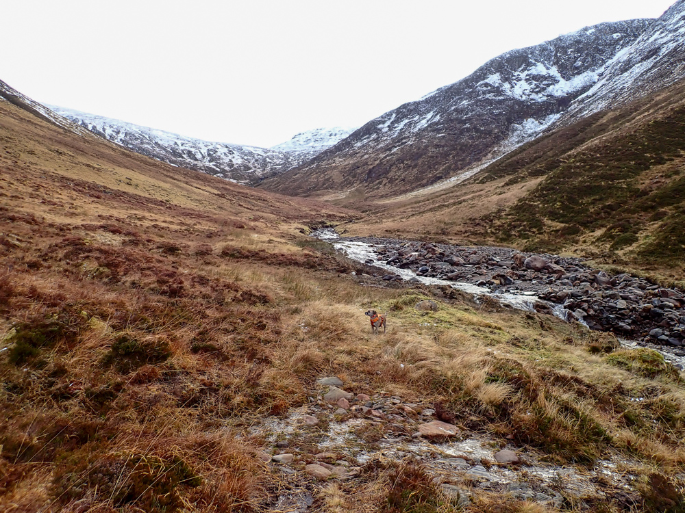 A track takes you up Coire Mhoraigein. The target hill slowly comes into view.