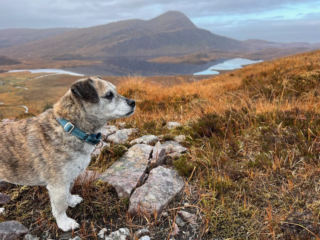 Arkle geology hike - view of Ben Stack