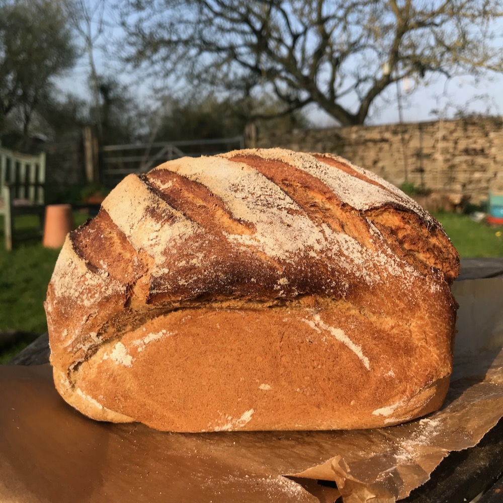 100% Wholemeal Bread Recipe - Not Dense or Heavy!