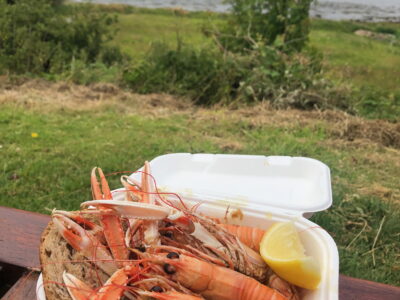 Seafood Shack