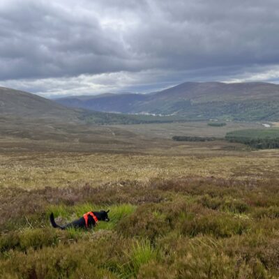 Moin Mor Munros via Glen Feshie Wild Camping