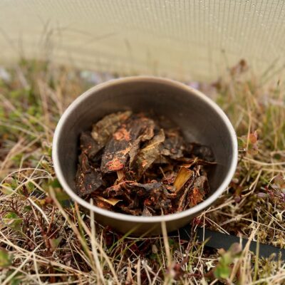 Moin Mor Munros via Glen Feshie Wild Camping