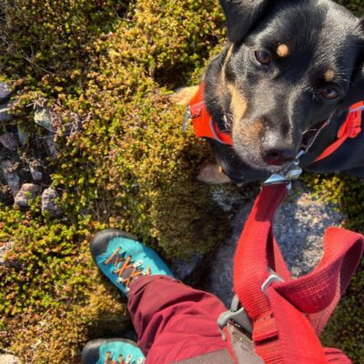 Moin Mor Munros via Glen Feshie Wild Camping