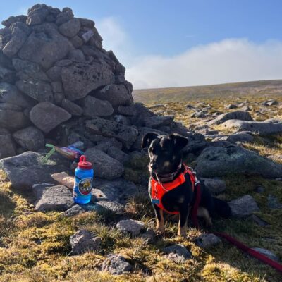 Moin Mor Munros via Glen Feshie Wild Camping