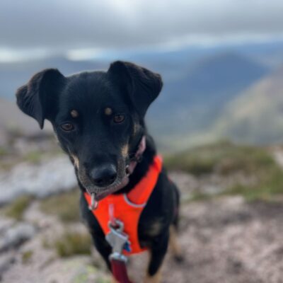 Moin Mor Munros via Glen Feshie Wild Camping