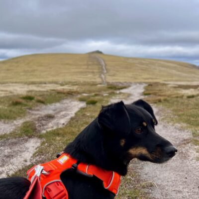 Moin Mor Munros via Glen Feshie Wild Camping