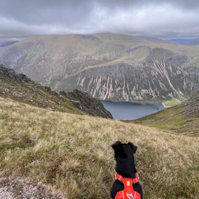 Moin Mor Munros via Glen Feshie Wild Camping
