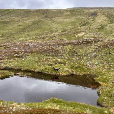 Moin Mor Munros via Glen Feshie Wild Camping
