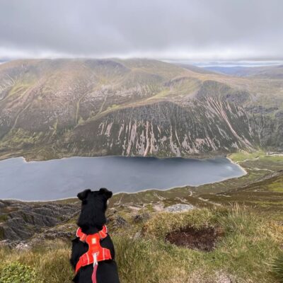 Moin Mor Munros via Glen Feshie Wild Camping