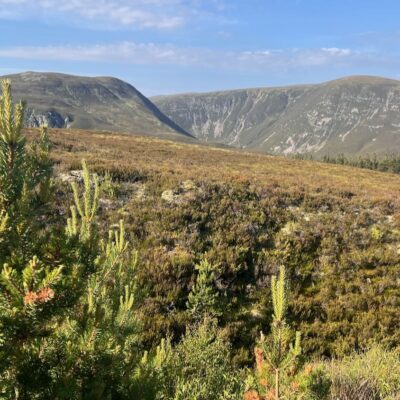 Moin Mor Munros via Glen Feshie Wild Camping