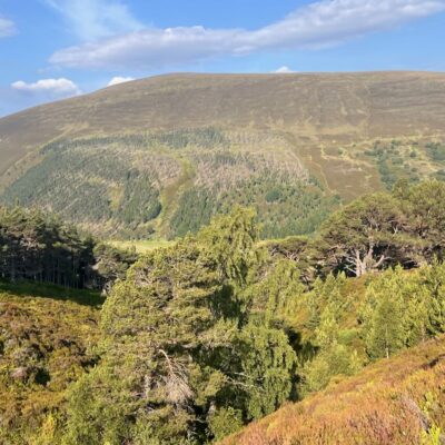 Moin Mor Munros via Glen Feshie Wild Camping