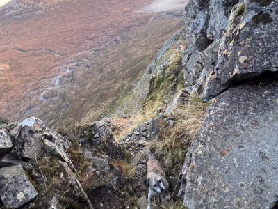 Sime mild scrambling was required.