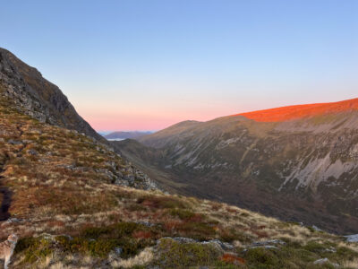 More beautiful light, looking towards the hills from the day before.