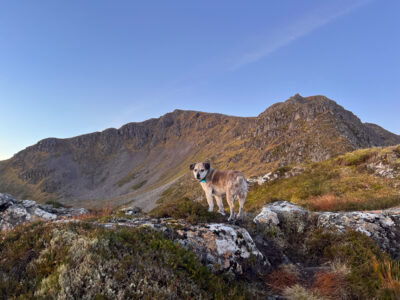 Ben Alder Wild Camping Adventure-149