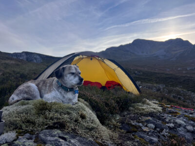 Camp at Allt a’Bhealaich Bheithe