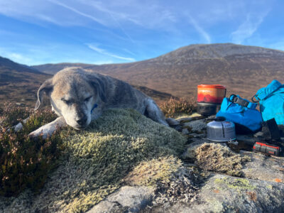 Both of us made use of the pleasantly dry beds of soft cushy moss.