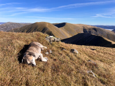 Power nap on Beinn Eibhinn.