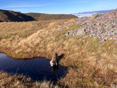Happy to find a water source.