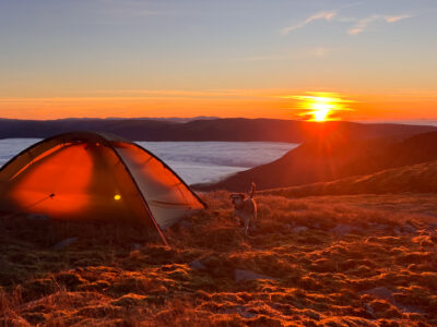Even Lucky was impressed with the superb inversion conditions.